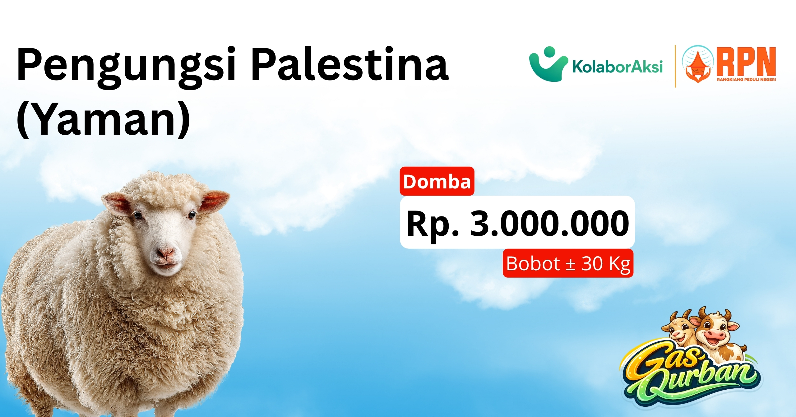 Pengungsi Palestina (Yaman) | Domba